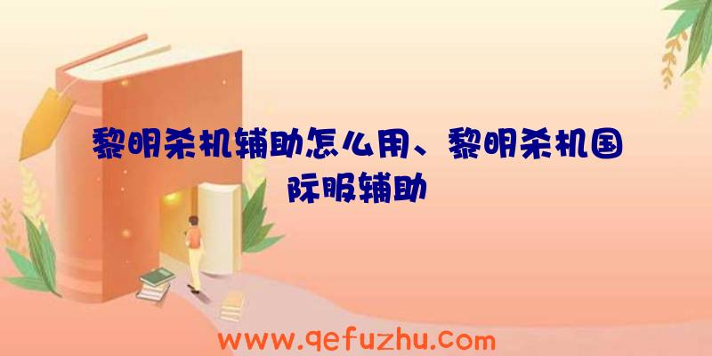 黎明杀机辅助怎么用、黎明杀机国际服辅助